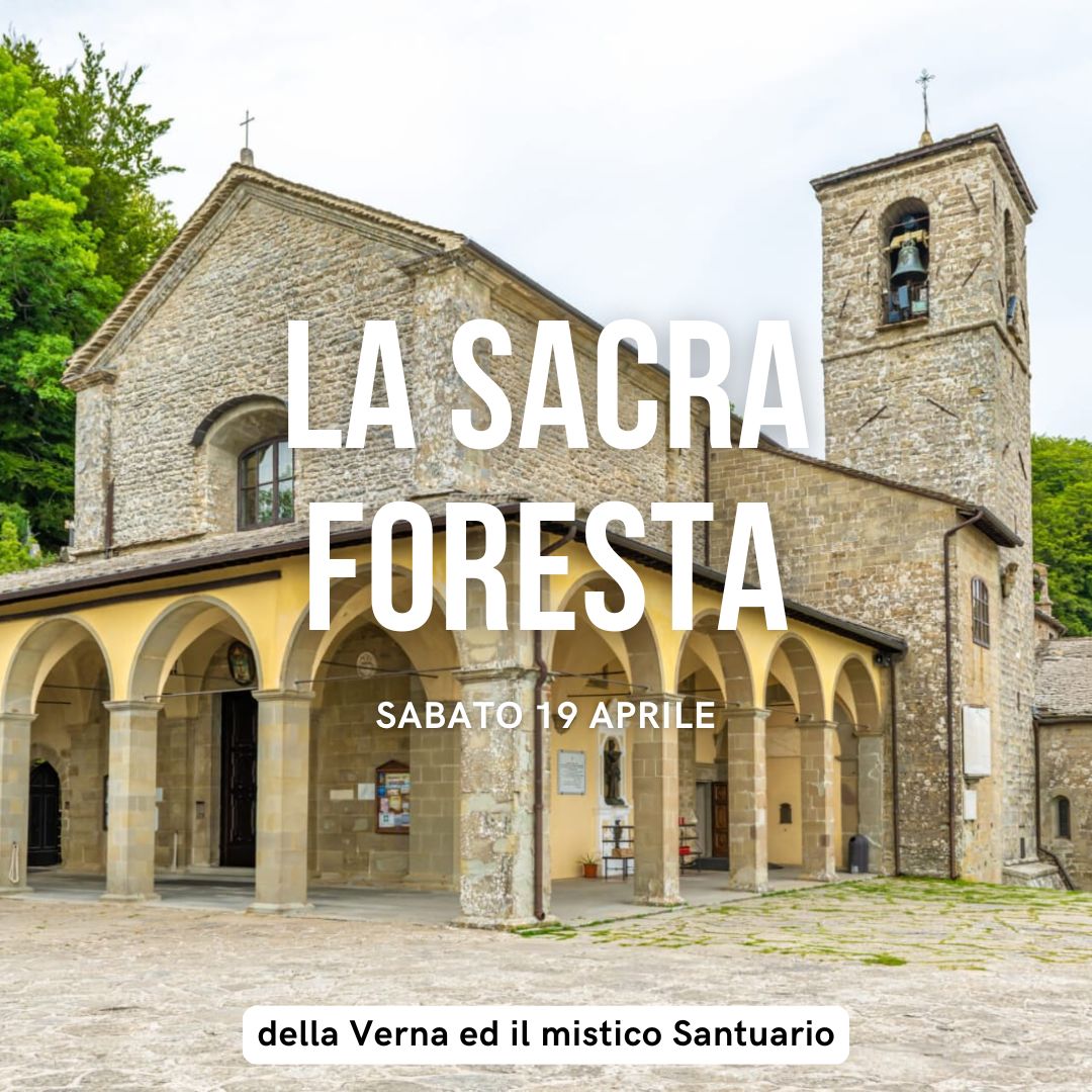 La Sacra Foresta della Verna ed il mistico Santuario Animali Notturni