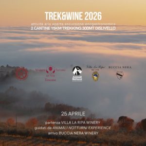 Trek&wine itinerante con degustazioni nelle colline aretine