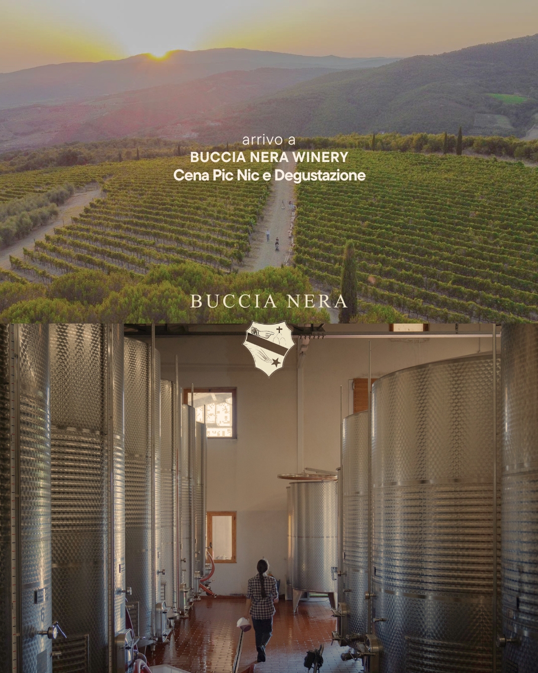 Trek&wine itinerante: Nightfall edition - immagine 4