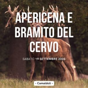 Apericena e bramito del cervo a Camaldoli
