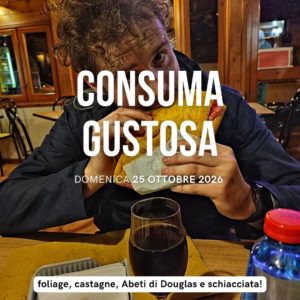 Consuma gustosa: foliage, castagne, Abeti di Douglas e schiacciata!